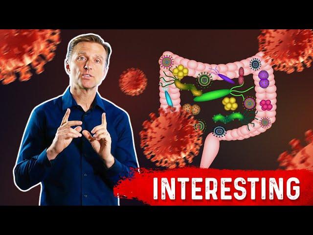 Gut Bacteria and Viruses