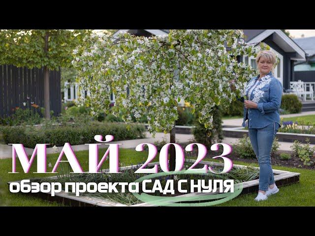 Май 2023. Обзор проекта САД С НУЛЯ