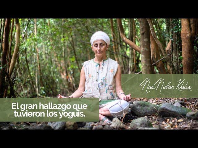 El gran hallazgo que tuvieron los yoguis.