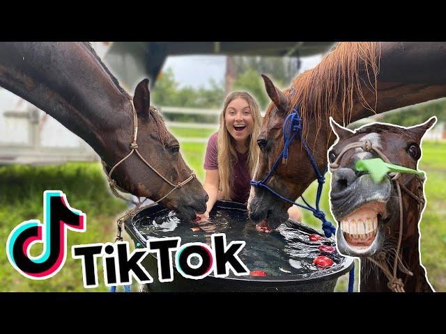 Recreating EQUESTRIAN TIKTOKS! PART 4!!