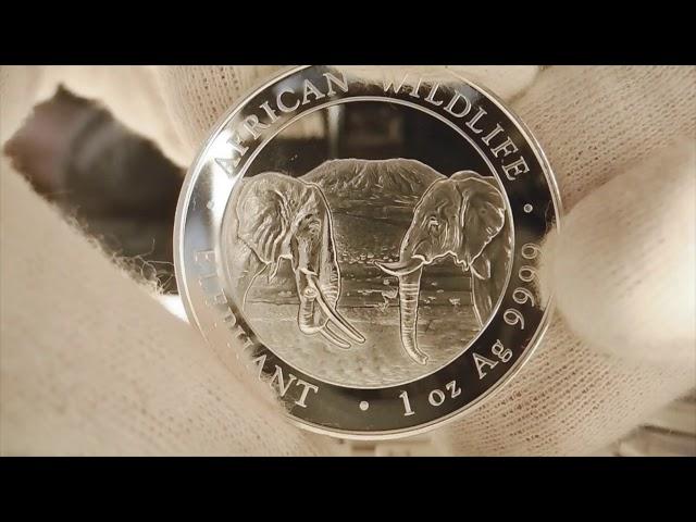 Серебряная монета Elephant 2020 Somali Silver Coin 1 Oz