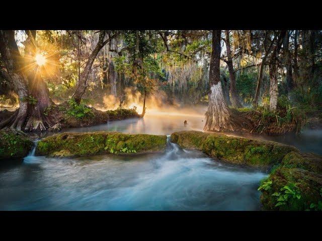 Sergey Grischuk-Beautiful Nature