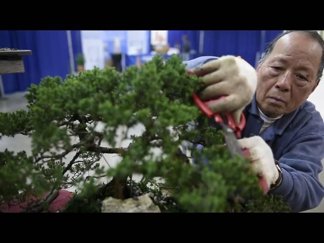 Nashville Lawn & Garden Show blooms for the weekend