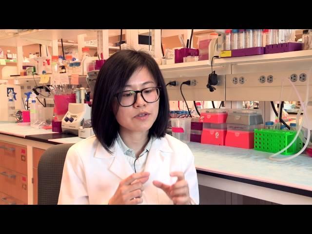 See Why Di Wu Loves Medical Science