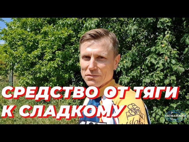 Доказанное средство от тяги к сладкому