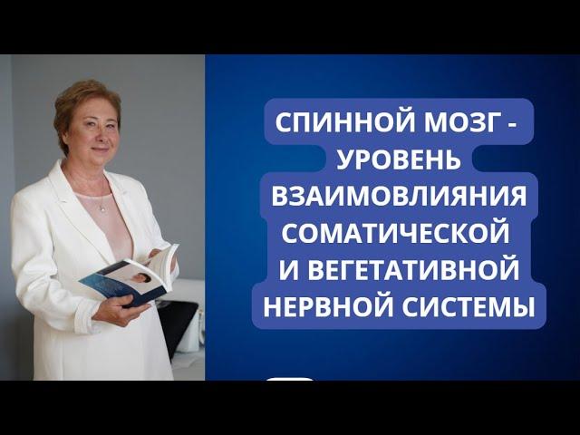 Сегментарный уровень поражения нервной системы. Вебинар с проф. Васильевой