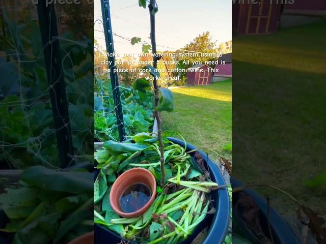 #water#watersystem #selfwatering #selfwateringpot #garden#gardening #backyardgardening #smart#cheap