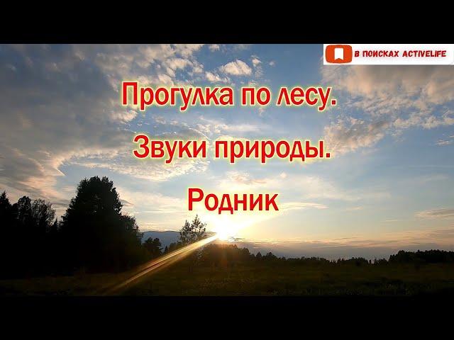 Красивая природа Владимирской области | Поход на родник