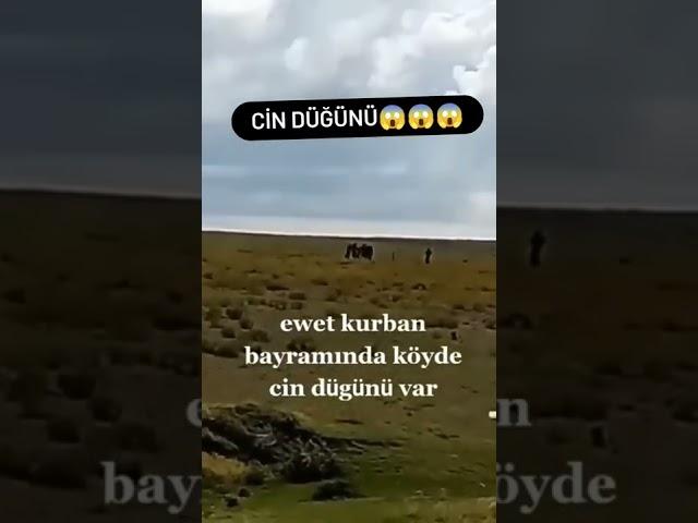 Cin Düğünü 