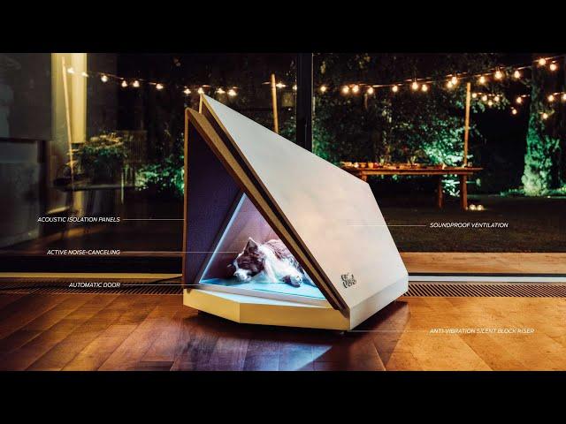 Amazing Dog House ―That Is At Another Level! #shorts