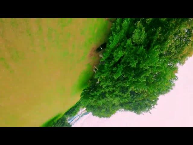 Ripping one of two Daily spots Mataatua marae. FPV freestyle is the BEST