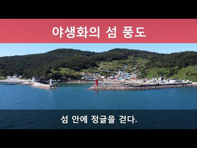 E12 백패킹 풍도 - 무자막