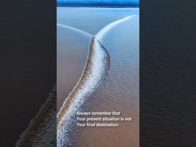 #life #motivational #nevergiveup #ocean #upsanddowns