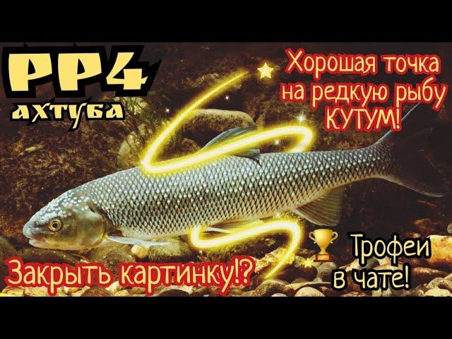 РР4. Ахтуба. Отличная точка на редкого КУТУМА! Трофеи в чате! + немного Жереха)