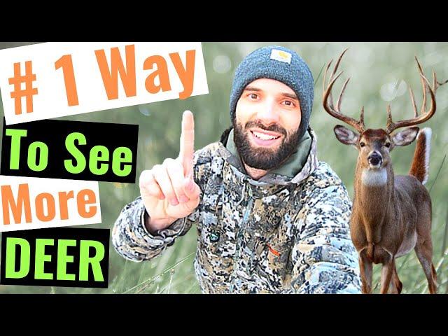 Best Way to Find and See More Deer.  I Promise