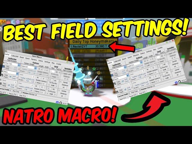 The *BEST* Natro Macro Pattern For Pine Tree Field | 2 Trillion per hour! (Bee Swarm Simulator)