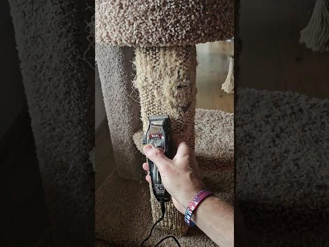 How to clean up sisal cat post