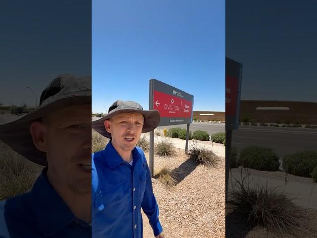 City of Mesa blames me?