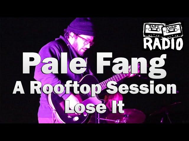 Pale Fang | Lose It | A Rooftop Session