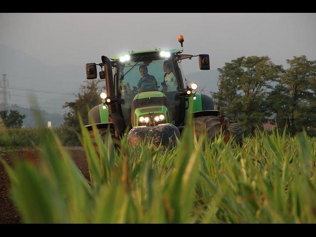 Deutz TTV 7250 AT WORK - Agromeccanica Assanelli