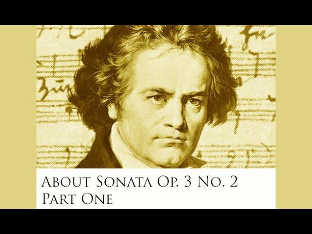 Lesson on Sonata Op. 2 No. 3: First movement