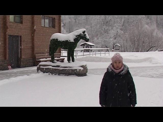 Центр экотуризма Берхино. Прекрасный загородный отдых в Подмосковье.