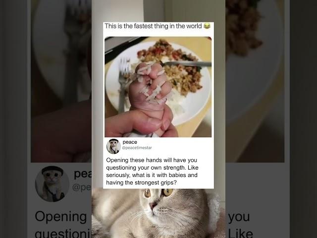 The actual fastest thing in the world