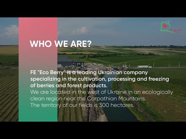 FE «Eco Berry» - is only quality and ecological products right from the field for you.