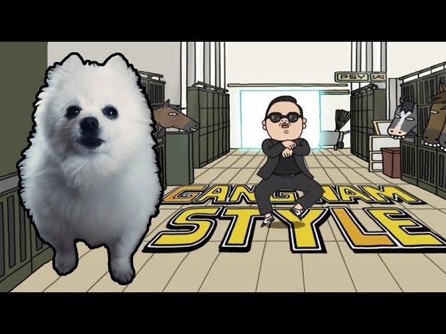 PSY - 'GANGNAM STYLE' em CACHORRÊS | NOSTALGIA