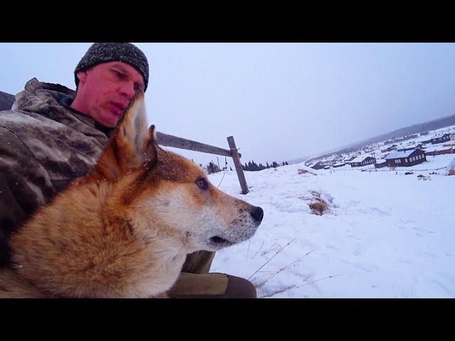 Жизнь в деревне. Тулан тащит меня, не могу удержать.