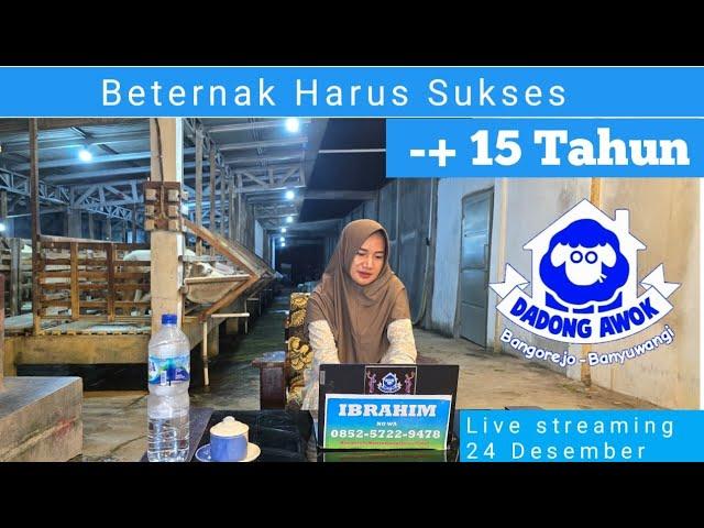 Beternak harus sukses inspirasi peluang bisnis Ibrahim DADONG AWOK peternakan kambing Banyuwangi