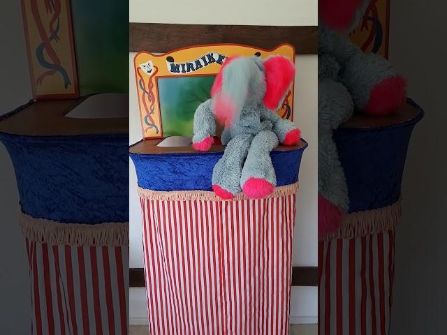 Harry the elephant goes walkabout