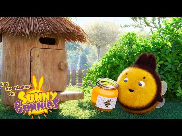 Las Aventuras de Sunny Bunnies | Gran 'Abeja' Boo | Serie 4 | Dibujos para niños