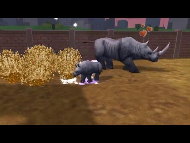 Zoo tycoon 2 black rhino giving birth