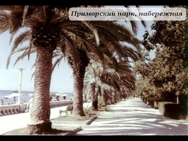 О, море в Гаграх! Поет Гиви Асалания, 1960 год (оригинал)