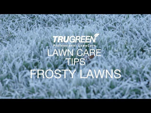 TruGreen | Lawn Care Tips | KEEP OFF THE LAWN DURING A FROST