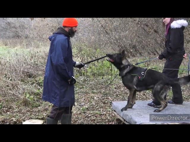 ДМИТРИЙ ЗАЙЦЕВ в Новосибирске ️