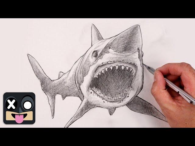 How To Draw a Shark | Sketch Tutorial