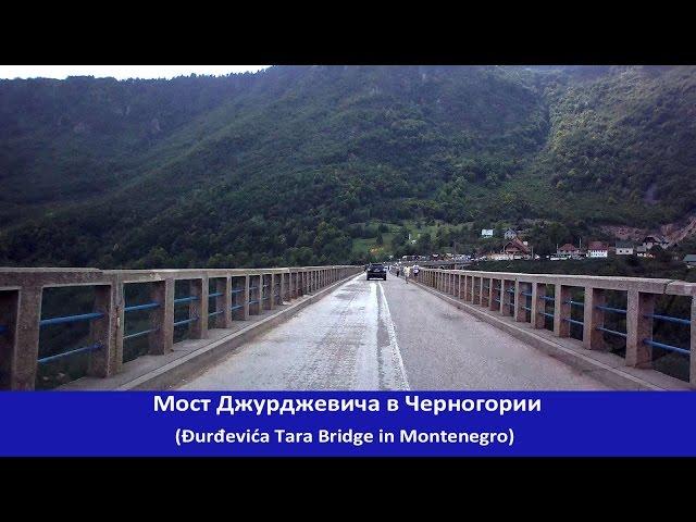 Мост Джурджевича через Тару (Đurđevića Tara Bridge)  [MNE]