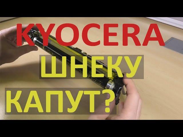 Kyocera M5521 - ремонт драм-юнита DK-5230 / DK-5231