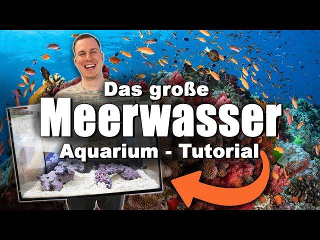 The saltwater tank TUTORIAL- *low budget* + sustainable *english subtitles*