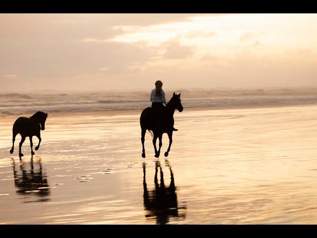 Sunset Gallops with Trinny running free