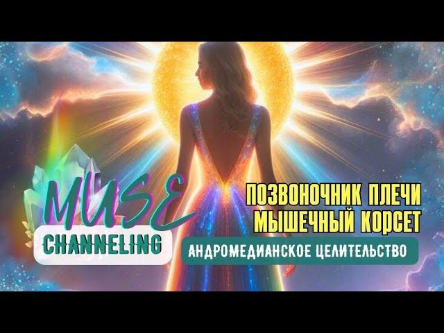 Плечевой пояс, позвоночник. Изъятие деструктивных подключений. Мышцы Андромедианское Целительство