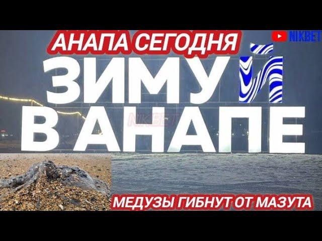 ‼️АНАПА СЕГОДНЯ. МАЗУТ НЕ УБЫВАЕТ. МЕДУЗЫ ГИБНУТ. ДЕЛЬФИНЫ ЛОВЯТ РЫБУ