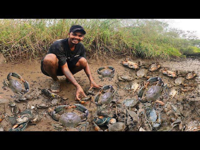 हाताने खनून काढले मोठे मोठे चिंबोरे | Big Size Crab  | DANGEROUS CRAB HUNTING | Fishing