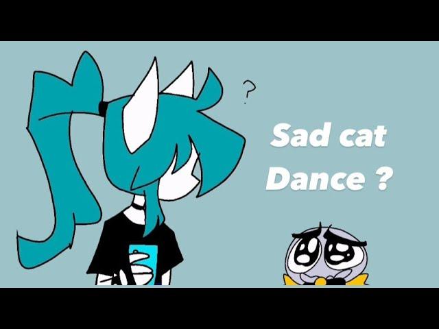 Sad cat dance meme?