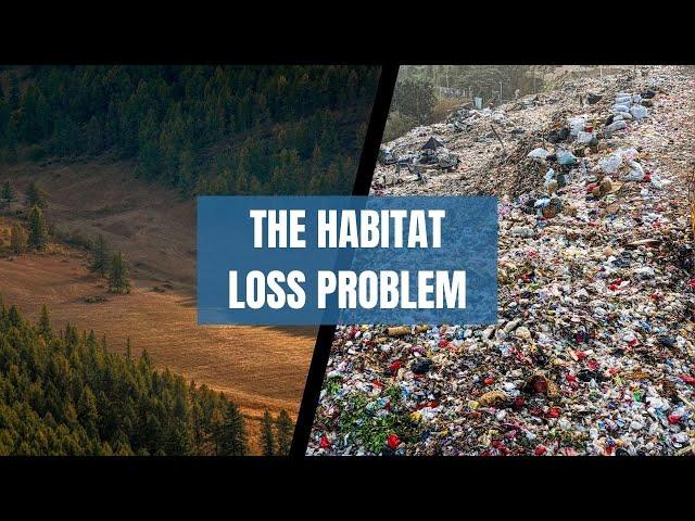 The Habitat Loss Problem