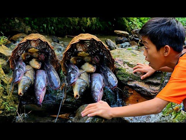 Bac's fishing technique, using many bamboo baskets to trap fish, go to the salon to get a haircut.