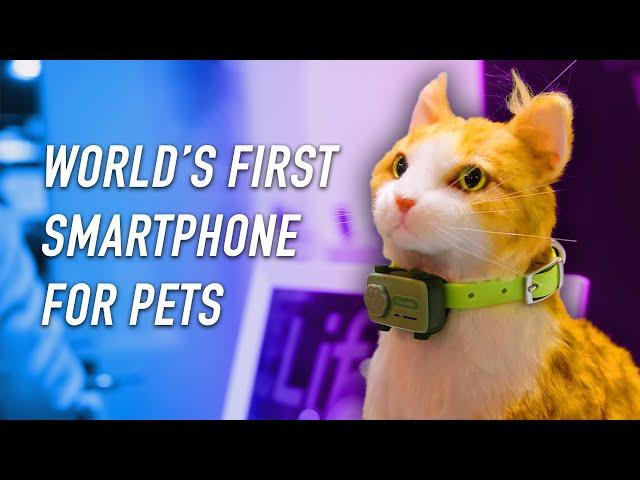 World's FIRST smartphone for pets! |  uCloudlink Booth Tour