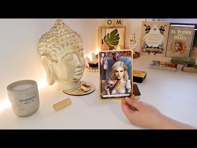 ¿QUÉ PUEDES ESPERAR DE ESA PERSONA? TAROT INTERACTIVO 🫂️